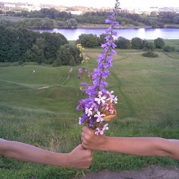 Аленка, Санкт-Петербург